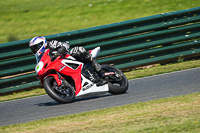 enduro-digital-images;event-digital-images;eventdigitalimages;mallory-park;mallory-park-photographs;mallory-park-trackday;mallory-park-trackday-photographs;no-limits-trackdays;peter-wileman-photography;racing-digital-images;trackday-digital-images;trackday-photos